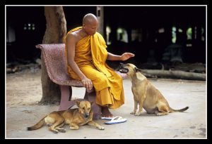 Buddhist Monks_18.jpg
